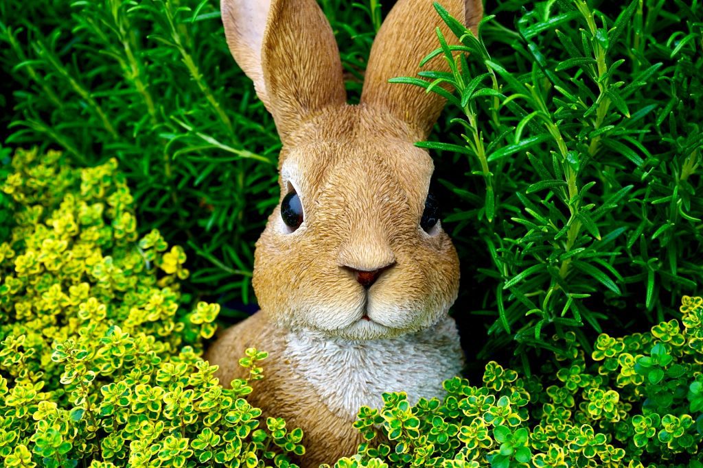 History of Beatrix Potter's Peter Rabbit