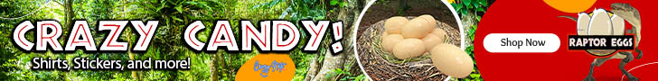 Shop Crazy Nate with fun candy like Raptor Eggs!