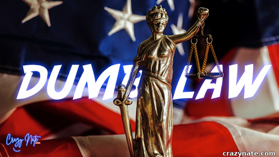 Can You Spot the Real Dumb Law?